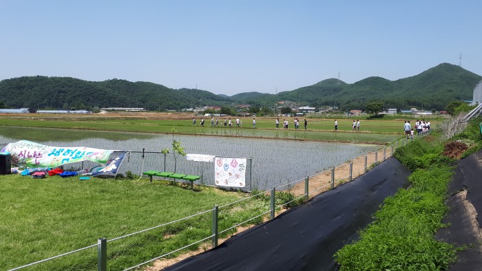 95f7840df11a67ca8d8029bc372c989c.jpg